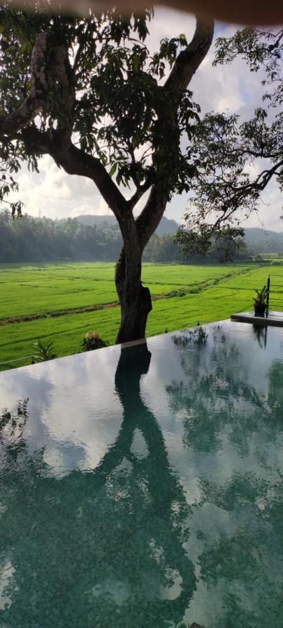 Villa Seven Faces-Luxury Escape,Stunning Views With Private Pool For A Couple Or Family! 갈레 외부 사진