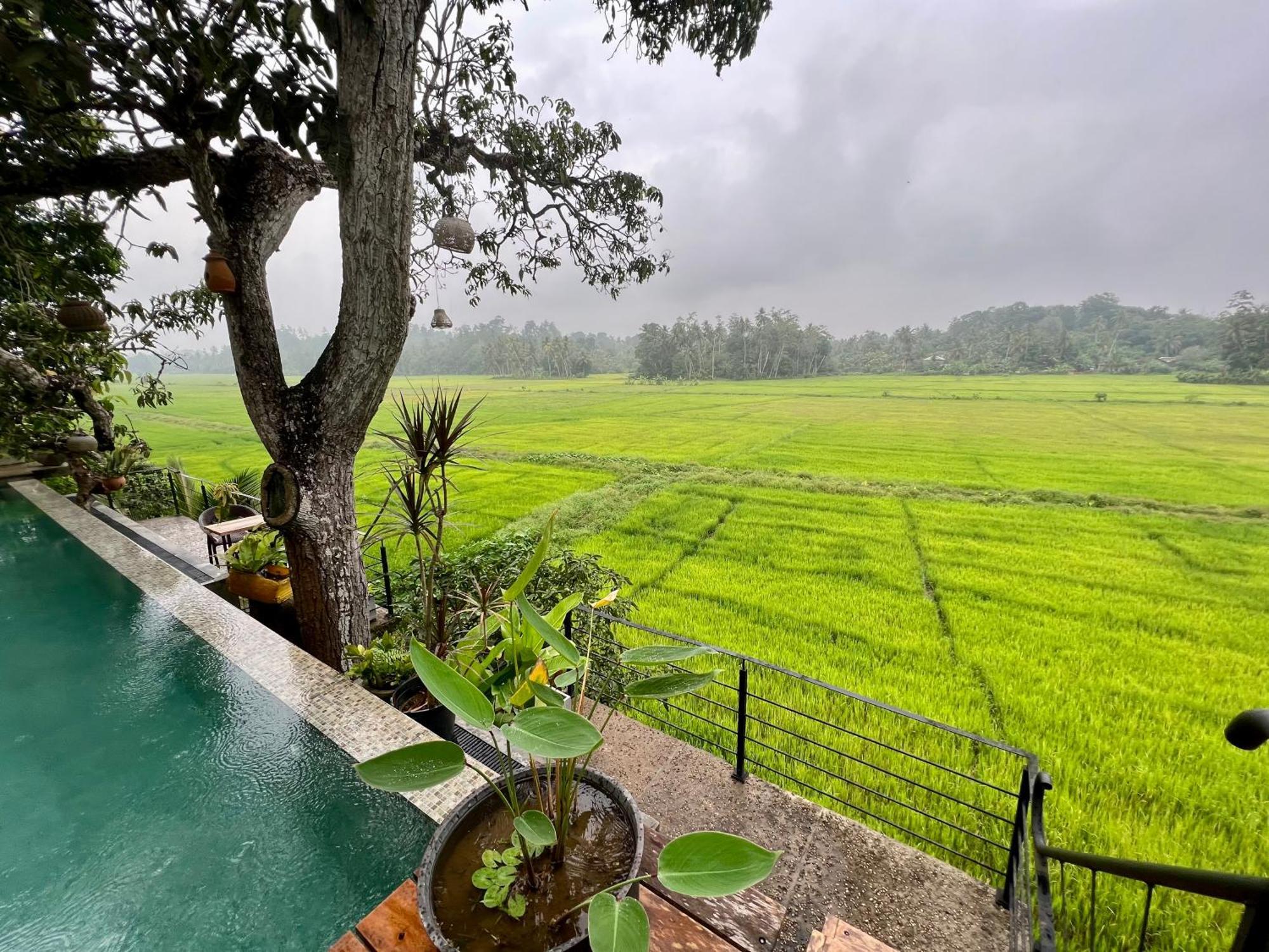 Villa Seven Faces-Luxury Escape,Stunning Views With Private Pool For A Couple Or Family! 갈레 외부 사진