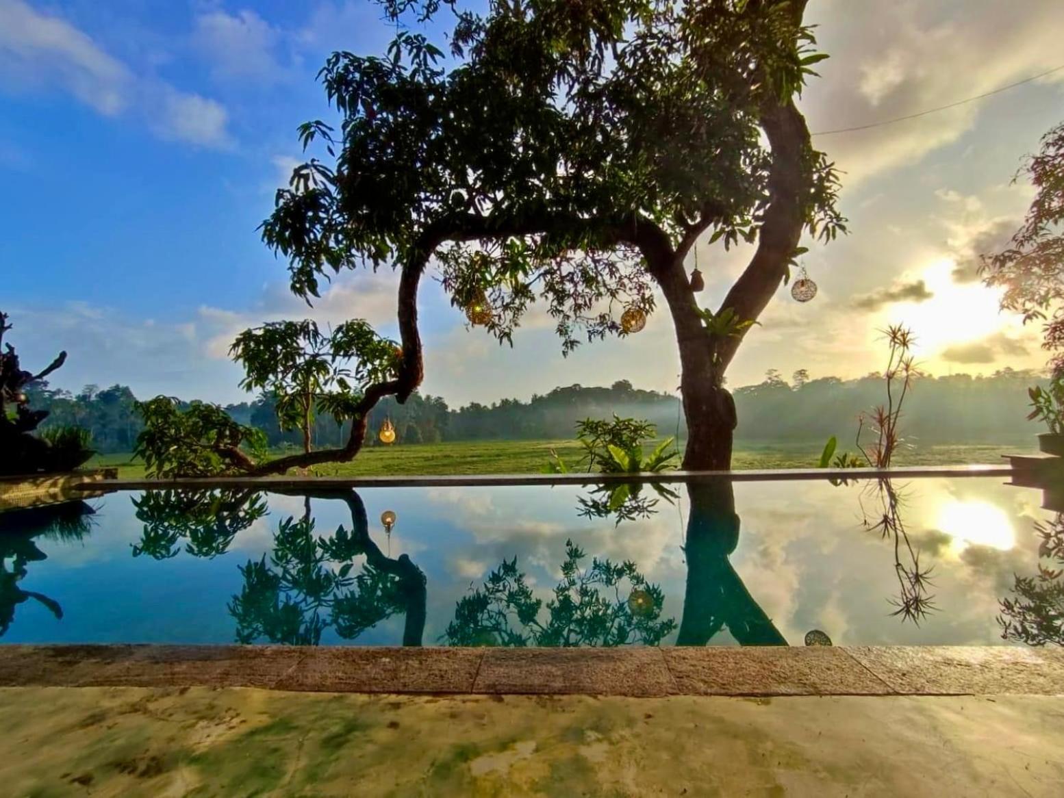 Villa Seven Faces-Luxury Escape,Stunning Views With Private Pool For A Couple Or Family! 갈레 외부 사진